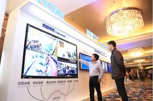 9月9日海爾智能家電節(jié) 依托3.8萬(wàn)社群，引領(lǐng)互聯(lián)網(wǎng)信息服務(wù)新浪潮